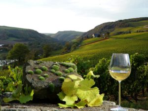 «Новый Свет»