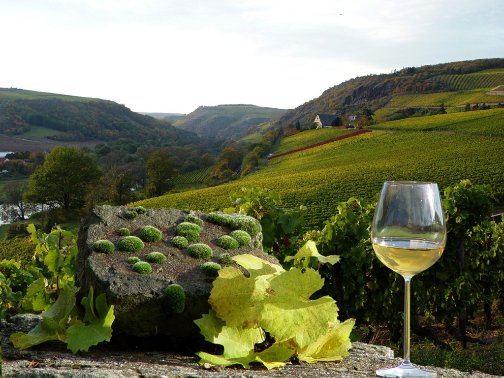 «Новый Свет»