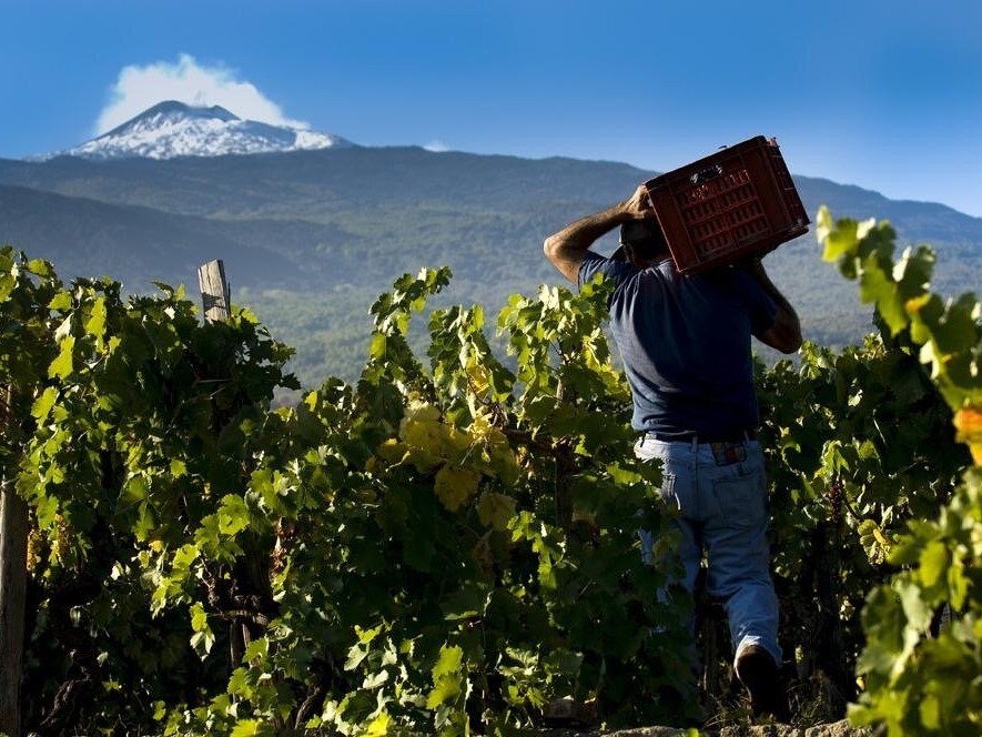 «Суровые островитяне»