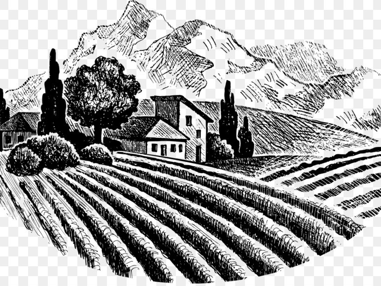 «Этна VS Пьемонт»